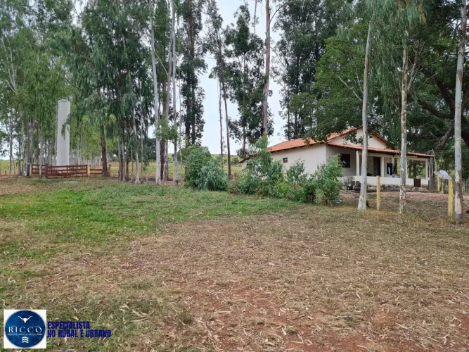 Fazenda à Venda em Caiapônia GO | 2.000 Hectares | Pecuária e Lavoura