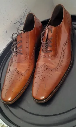 Sapato Sérgio's Longwing Brogue: