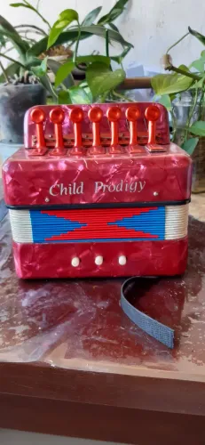 Mini sanfona infantil gaita
