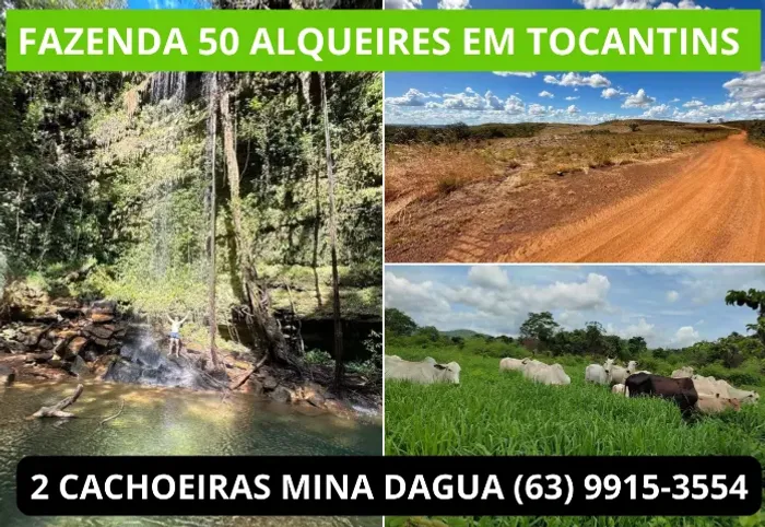 Fazenda, Terra Tocantins, Porto Nacional, Platanção, Soja, Cana, Canavial, Cercada