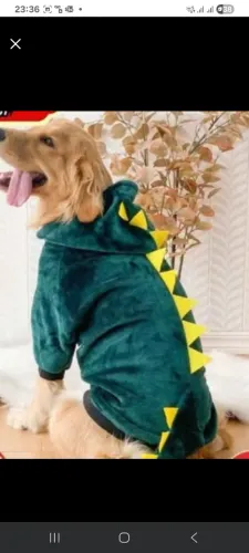 Roupa dinossauro pet na Copa.Tam.G