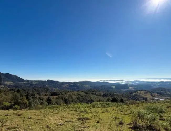Oportunidade de investimento! 11 hectares Serra Catarinense Bom Retiro/SC