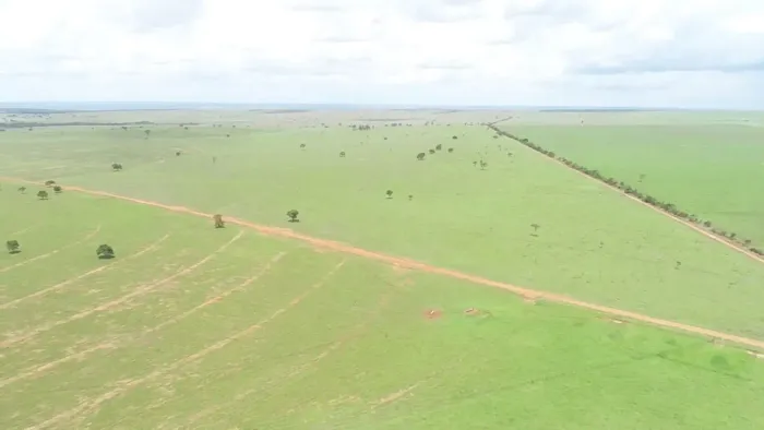 Fazenda de arrendamento 2.000 hec entre camapuã e paraíso das águas MS.