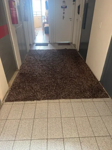 Tapete de sala Tokstok 2,50 x 2,00 pouco uso