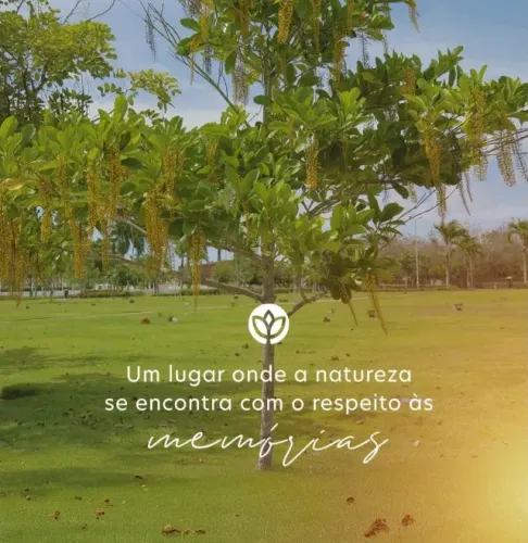 JAZIGO MEMORIAL PARQUE MACEIÓ
