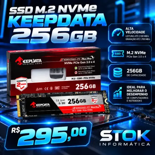 SSD M.2 NVMe KEEPADATA 256GB