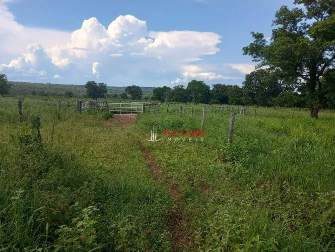Fazenda à venda, 1936000 m² por R$ 6.415.000,00 - Centro - Santa Rita do Pardo/MS