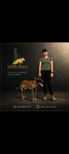 Adestramento de cães