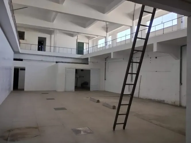 Galpão - Ramos - 500 m2 - Cód. 1742