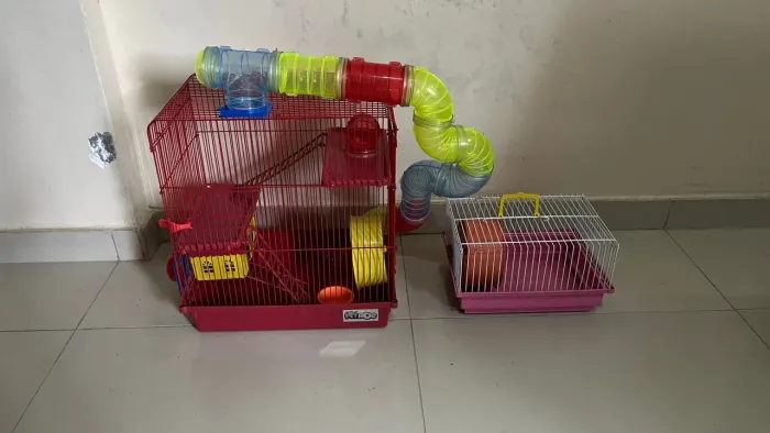2 casas de hamster 