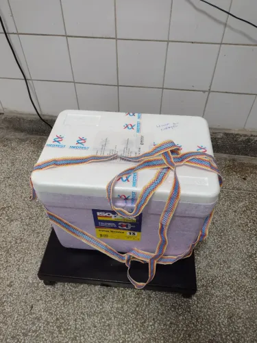 Isopor térmico 