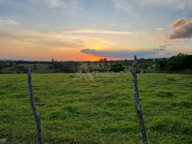 14 HECTARES EM CARUARU - PE