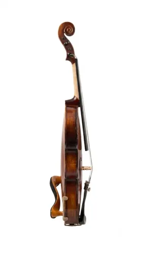 Violino scarlett