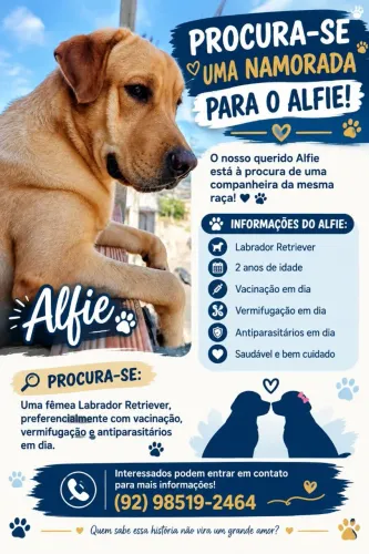 ? Alfie Está em Busca de Sua Companheira! ?
