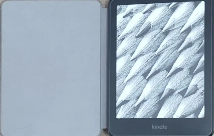 UM KINDLE PARA VOCE.