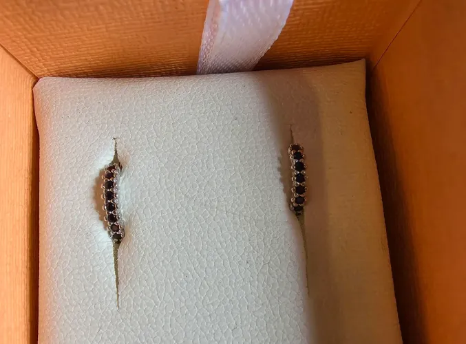 Brincos ouro branco e Diamantes pretos