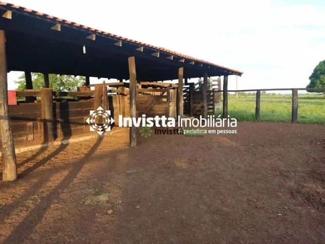 Área total: 1.450 Hectares (300 Alqueires) Área Aberta: 900 Hectares (200 Alqueires