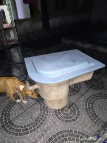Caixa de bomba de piscina