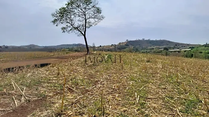 SÍTIO À VENDA EM URAÍ - PR | 4 ALQUEIRES DE TERRA ROXA | INVESTIMENTO AGRO 2026