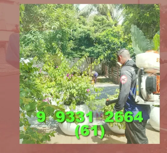 Dedetização em São Sebastião! Controle de pragas com qualidade e segurança.