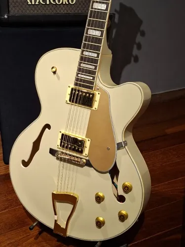 Guitarra semi-acustica Waldman®