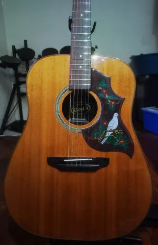 Violão Rozini Premium folk 6c - Tampo sólido
