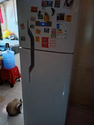 No precinho