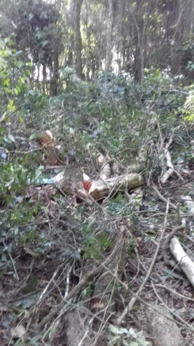 Terreno em piedade Sp 