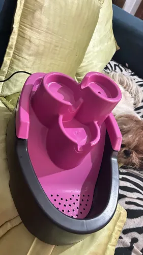 Bebedouro Pet Fonte
