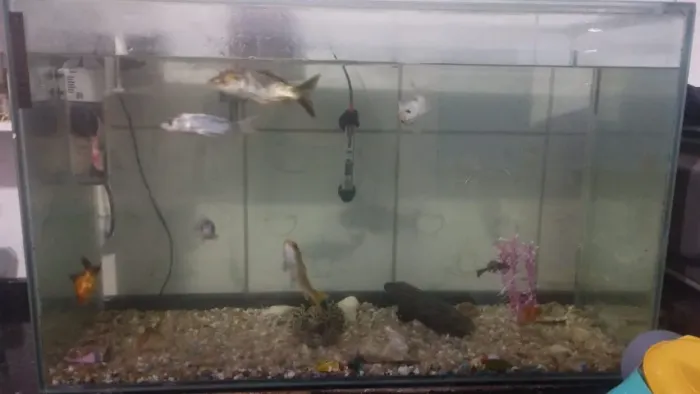 Aquário 400L