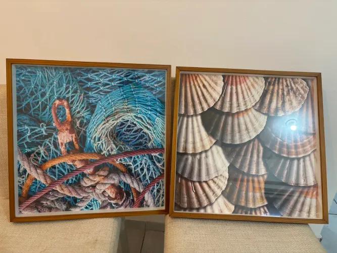 Quadros novos 