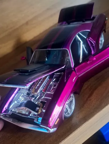 Dodge: Challenger R/T (1970) 1:24