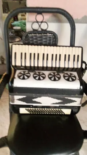 Sanfona 80