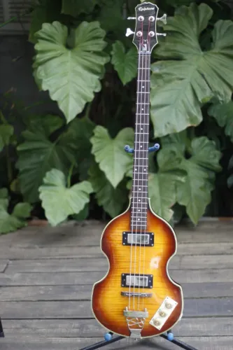 Viola Bass epiphone