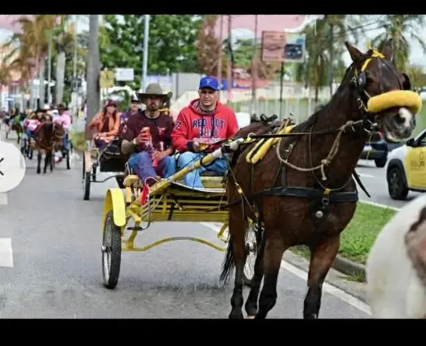 Cavalo