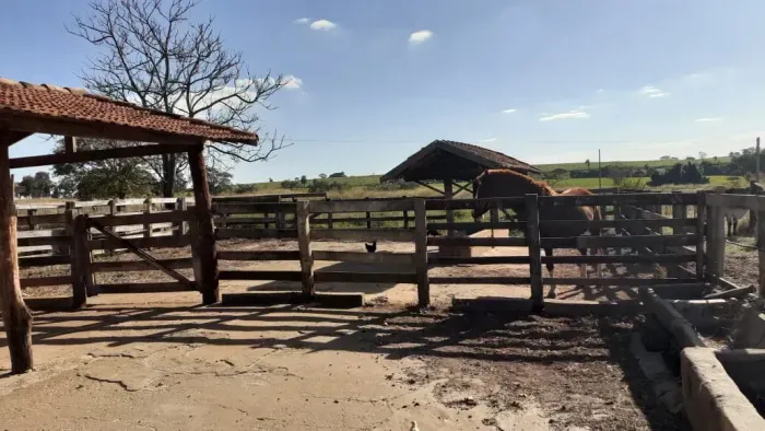 sitio em cajuru 3 alqueires 1.500.000.00 ( laer )