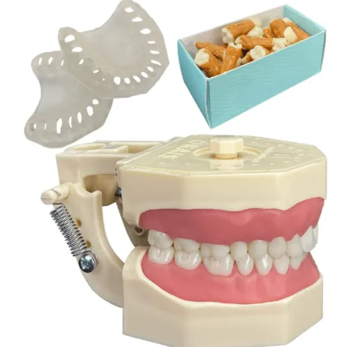 Manequim Multidisciplinar Periodontia e Dentística