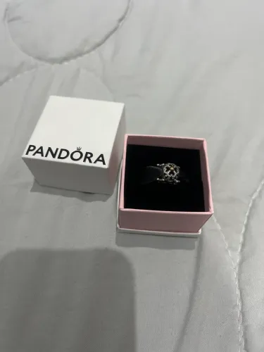 Charm Carruagem Pandora