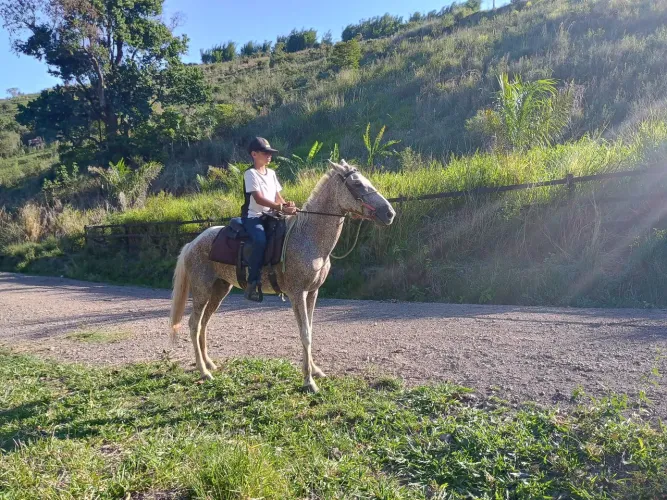 Vendo ou troco cavalo de marcha picada certinho de tudo manso so pegar e andar cavalo top 