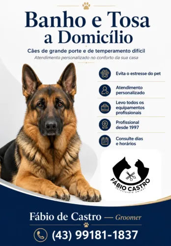 Banho e Tosa á domicílio