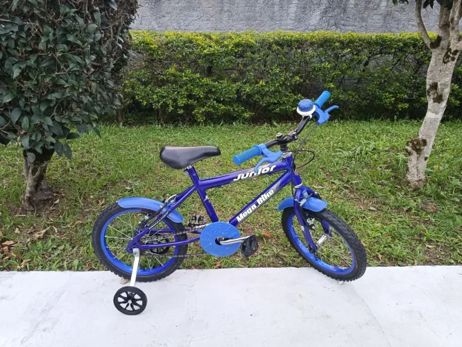 Bicicleta aro 16 rodinhas revisada excelente estado 