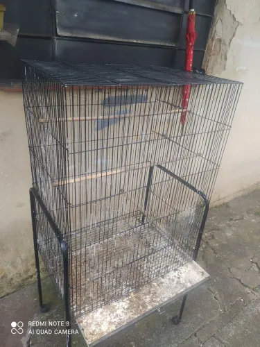 Viveiro usado 120,00