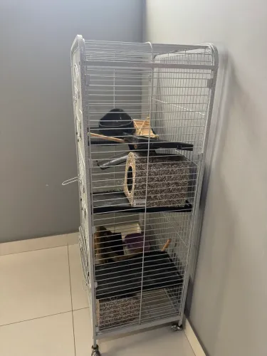 Gaiola para hamsters 
