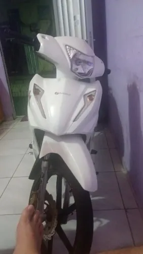 Vendo motinha avelos 