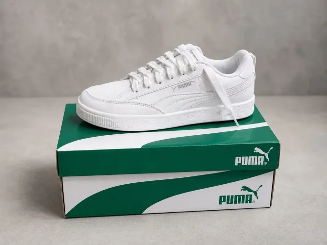 Tens puma