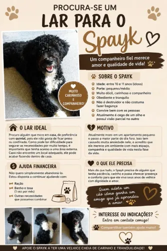 Adoção de Cachorro