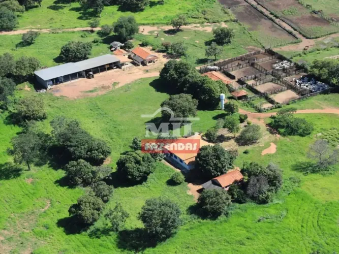 Fazenda 575 alqueires (2.783 hectares) Uirapuru - Go