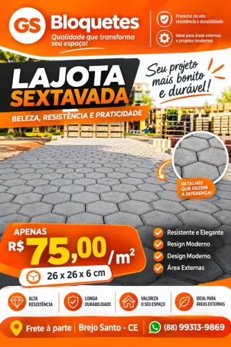 GS Bloquetes/Lajotas