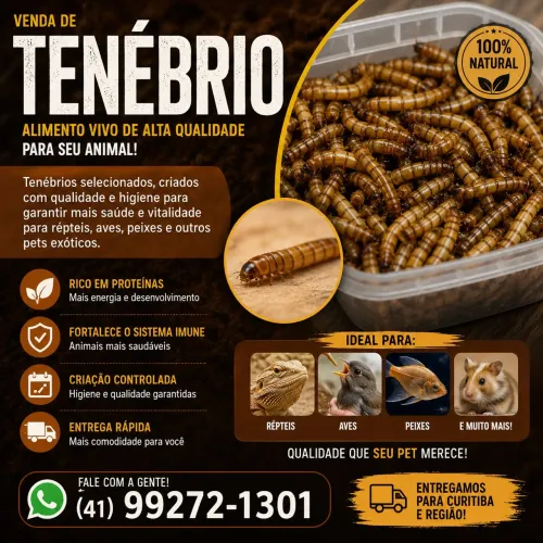 Tenebrio molitor 100 unidades