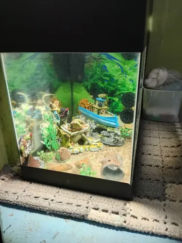 Aquario